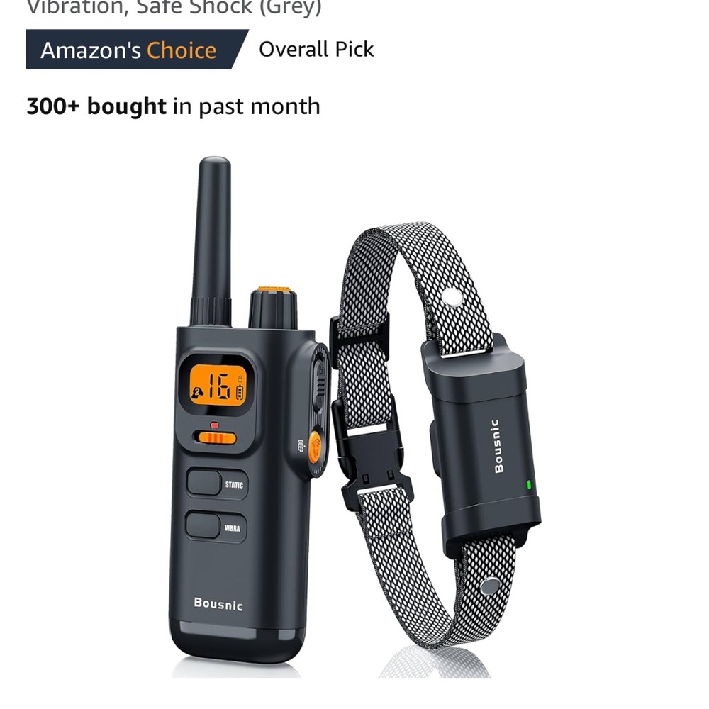 Black and Orange Dog Training Collar